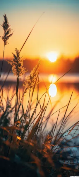  عکس پینترستی طلوع خورشید