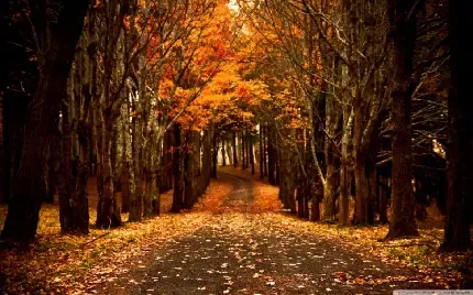  119 عکس طلوع خورشید پاییزی