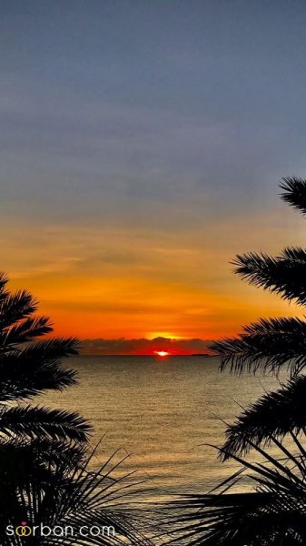  118 عکس غروب زیبا برای پروفایل