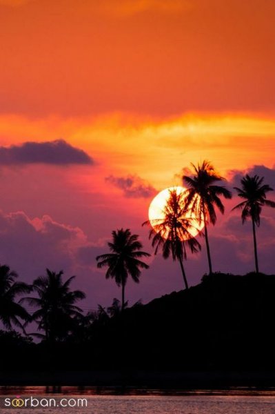  عکس های غروب خورشید