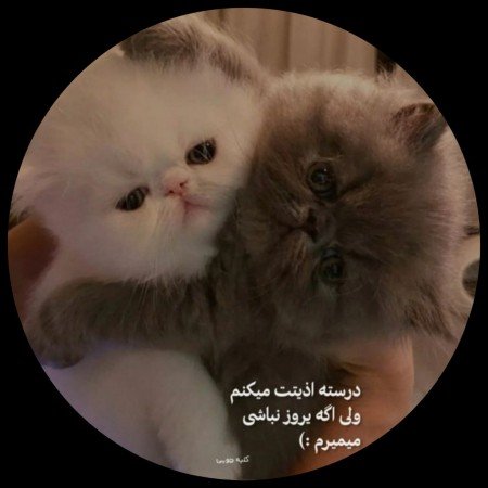  عکس نوشته ترکی