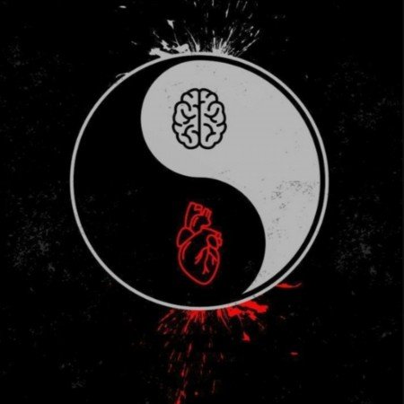  عکس های قلب شکسته