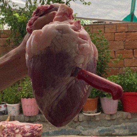  عکس های قلب شکسته