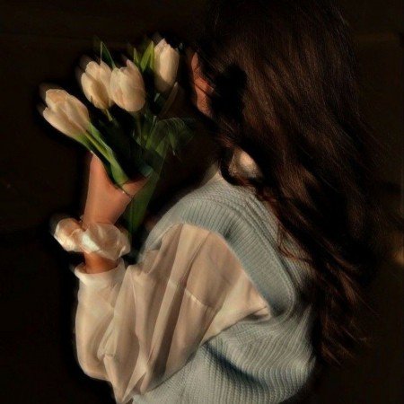  عکس رز سفید