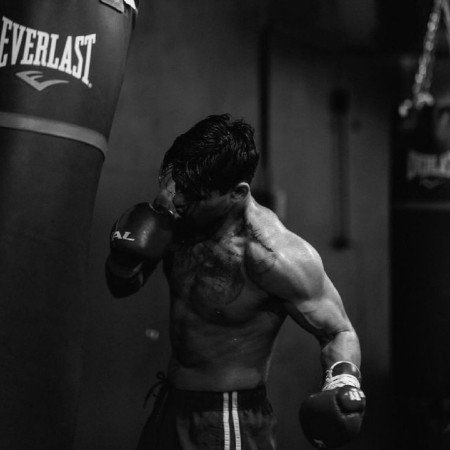  عکس رز سفید