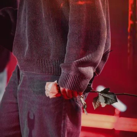  عکس رز سفید