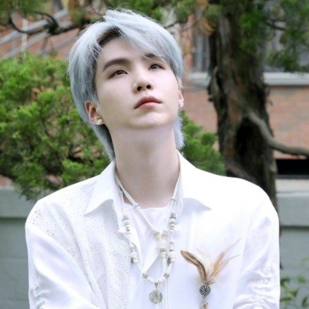  عکس رز سفید