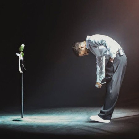  عکس رز سفید