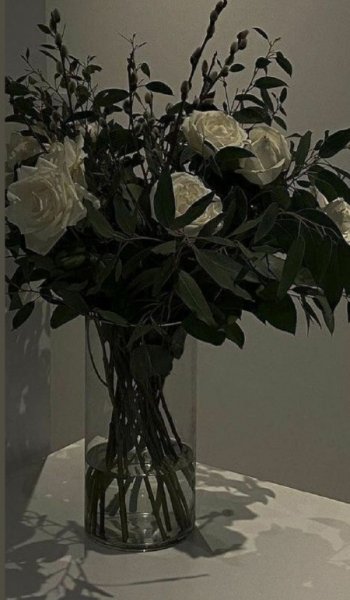  عکس رز سفید