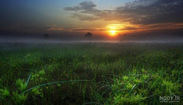  عکس طلوع صبح تهران