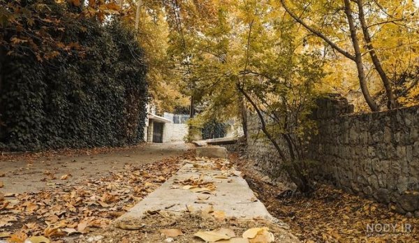  عکس طلوع خورشید در جاده