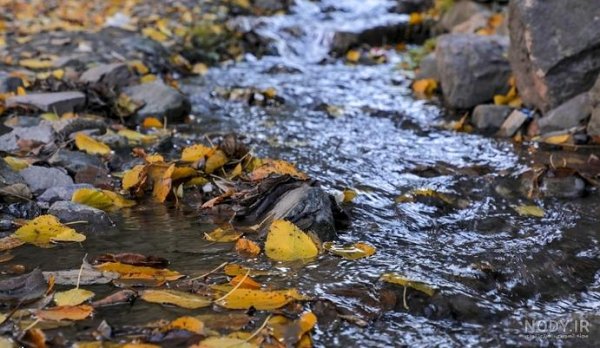  عکس طلوع خورشید در جاده