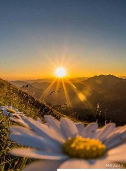  عکس طلوع خورشید در جاده