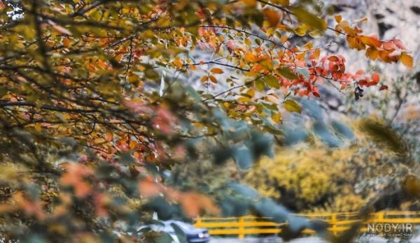  عکس طلوع خورشید در جاده