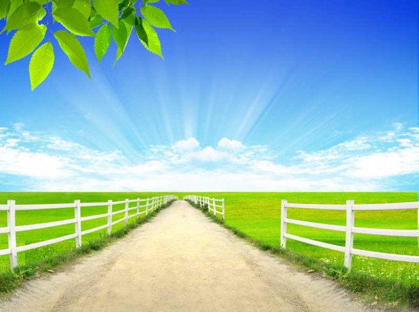  عکس جاده و طلوع خورشید