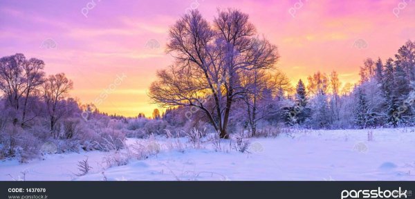  عکس طلوع زمستانی