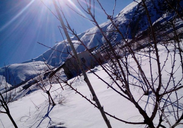  عکس طلوع زمستانی