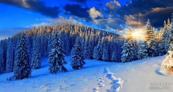  عکس طلوع زمستانی