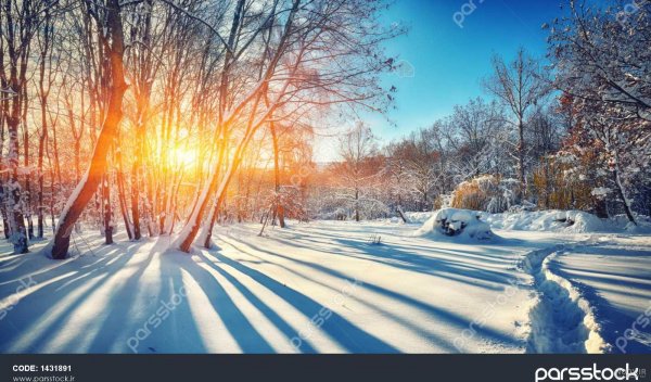  عکس طلوع زمستانی