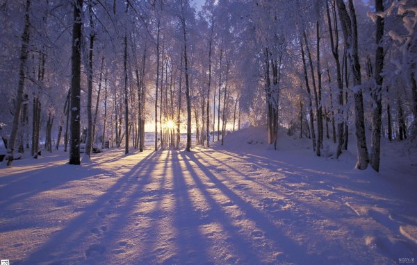  عکس طلوع زمستانی