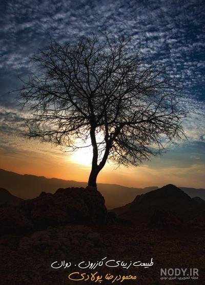  عکس طلوع زمستانی