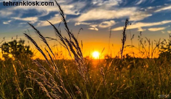 عکس طلوع زمستانی