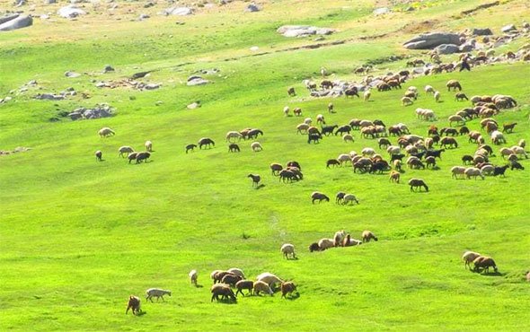  عکس کوه الوند همدان