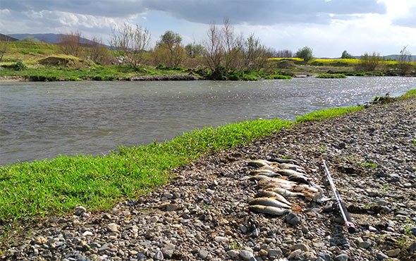  عکس کوه الوند همدان