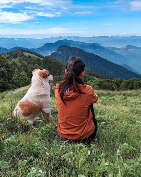  عکس دختر از پشت سر با موهای باز برای پروفایل