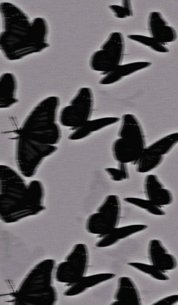  عکس سیاه سفید شیک