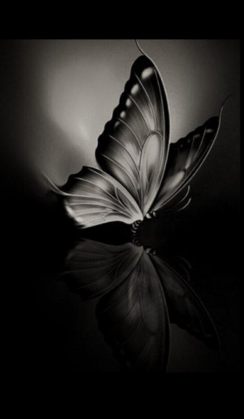  عکس سیاه سفید شیک