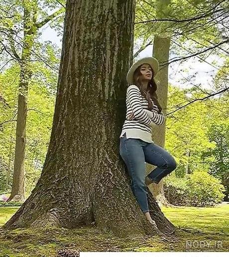  عکس دختر در جنگل برای پروفایل