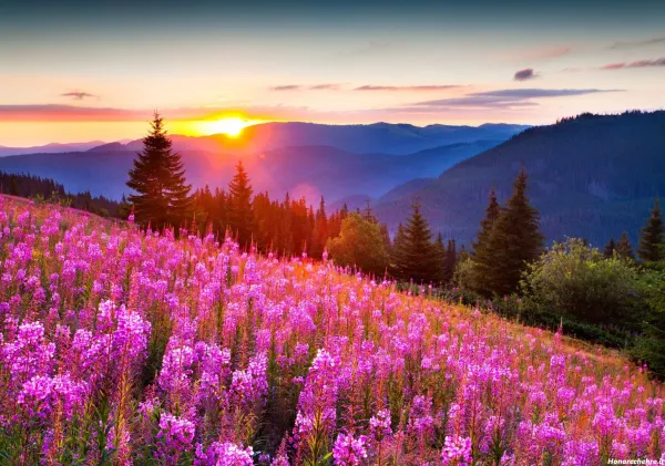  عکس پروفایل طبیعت فانتزی