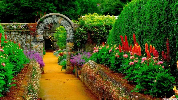  عکس پروفایل طبیعت فانتزی