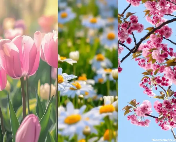  عکس پروفایل طبیعت فانتزی