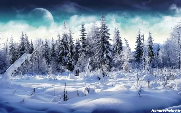  عکس پروفایل طبیعت فانتزی