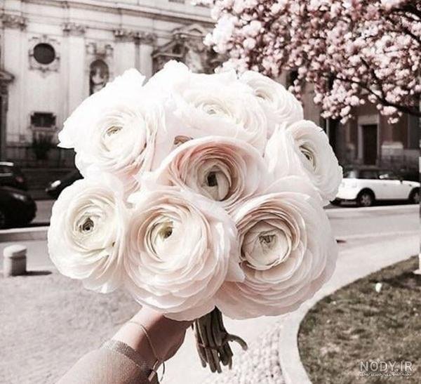  عکس دختر در طبیعت بهاری