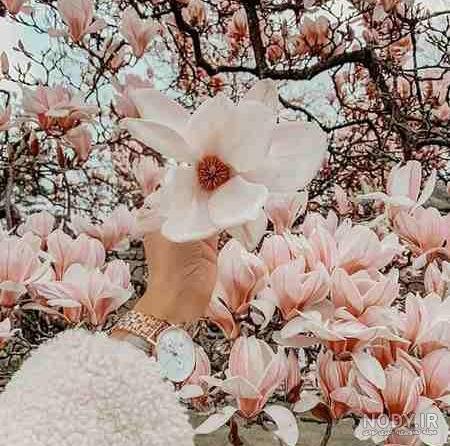  عکس دختر در طبیعت بهاری