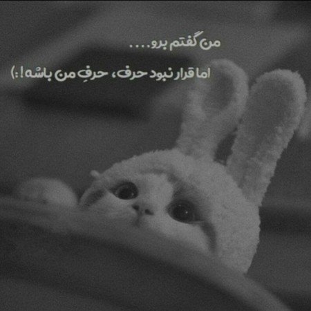  100 عکس چشم واقعی دختر