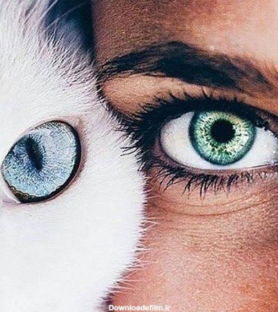  عکس چشم واقعی دختر ابی