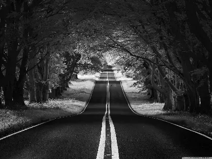  عکس سیاه سفید فانتزی