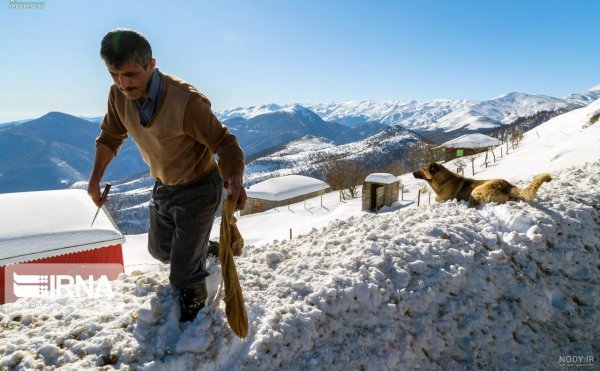  60 عکس کوه برفی