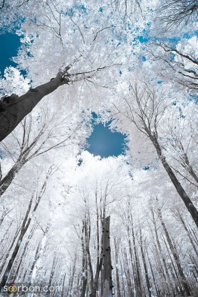  عکس کوه برفی در شب