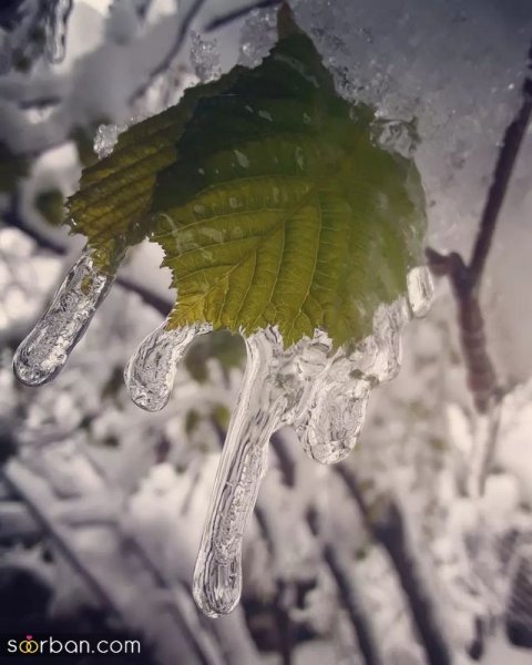  عکس کوه برفی در شب