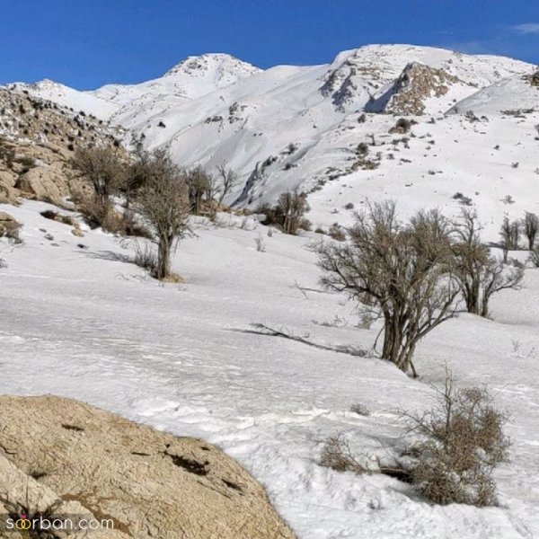  عکس کوه برفی در شب