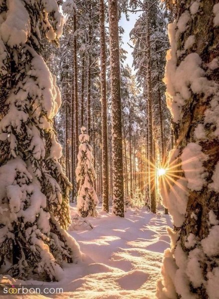  عکس کوه برفی در شب