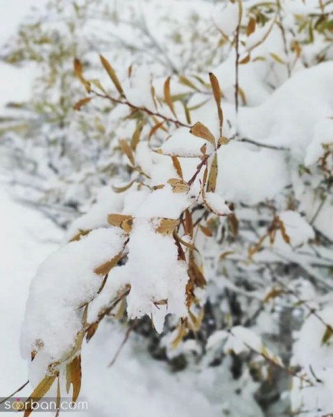  عکس کوه برفی در شب