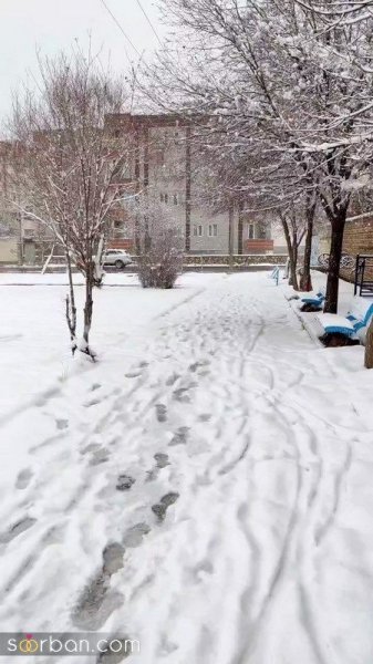  عکس کوه برفی در شب