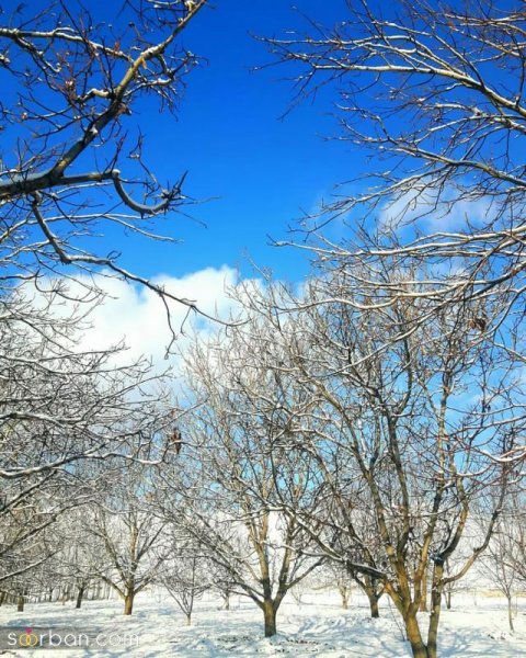  عکس کوه برفی در شب