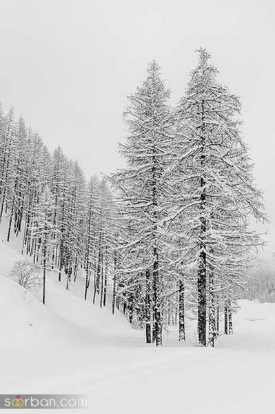  عکس کوه برفی در شب